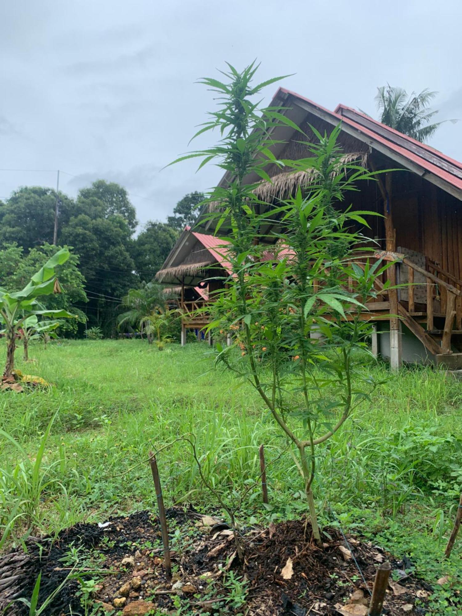 Seree Bungalows & Chill Bar Koh Chang Bagian luar foto
